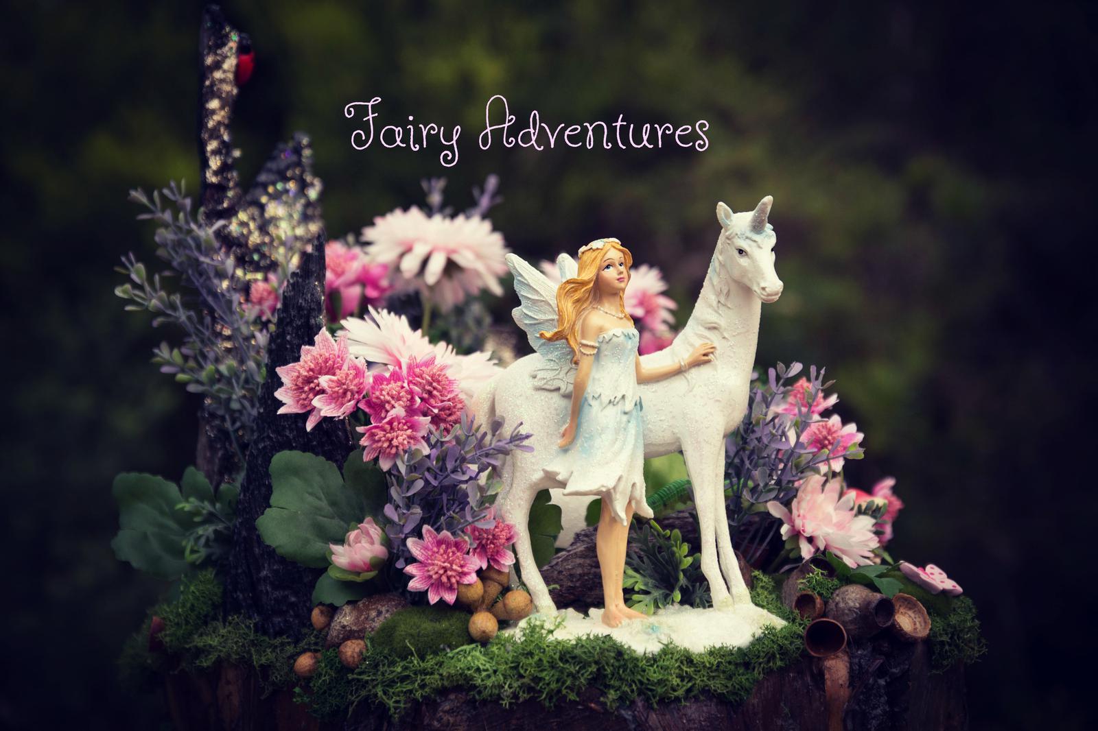 FAIRY ADVENTURES Perth Makers Market